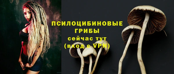 гашик Богородицк