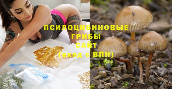 трава Богданович
