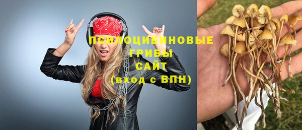 трава Богданович